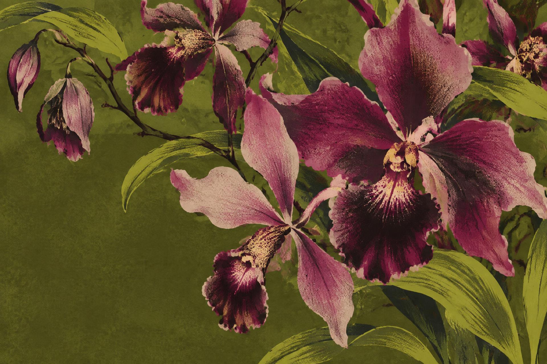 Graphic orchid blossoms in plum and pink against a deep olive field